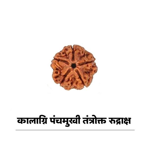 कालाग्नि पंचमुखी रुद्राक्ष (चांदी)