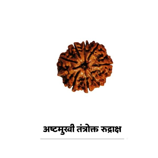 अष्टमुखी तंत्रोक्त रुद्राक्ष(चांदी)