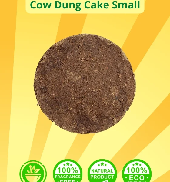Cow Dung Cake